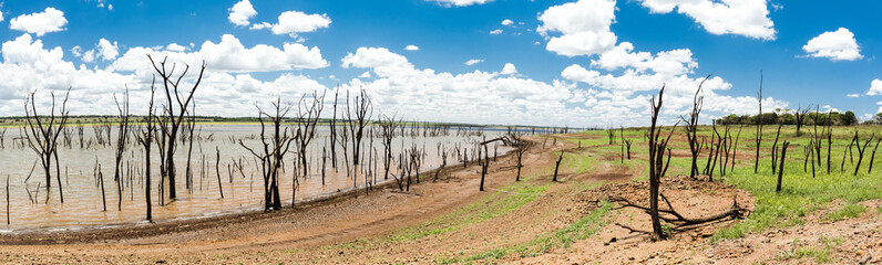 Fototapeta na wymiar Rio Grande dam in drought period, with its water level below normal - Rio Grande - Guaraci - Sao Paulo - Brazil
