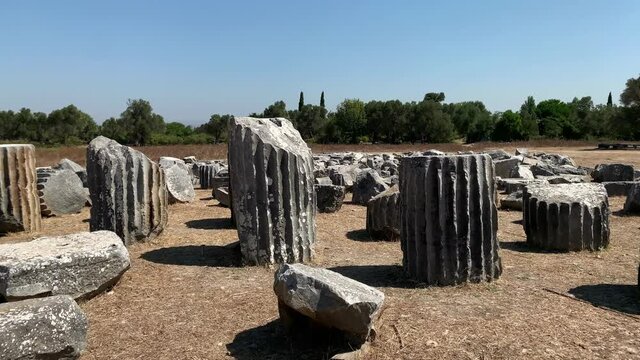 Footage of historical ruins and olive trees at ancient Greek city called Teos on the coast of Ionia located in Sigacik / Seferihisar district of Izmir province of Turkey. It is a sunny summer day.