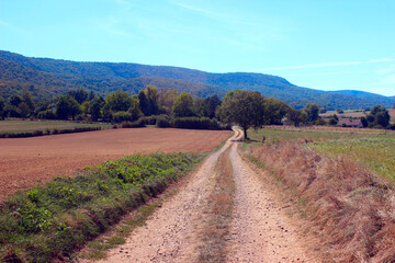 Country dirt road at the european country.