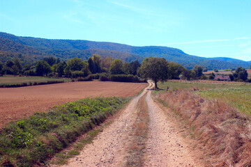 Fototapeta na wymiar Country dirt road at the european country.