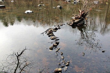 Stone Snake
