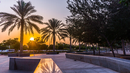 Beautiful Muscat