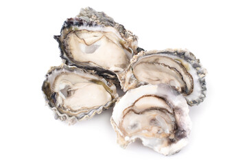 Fresh oyster isolated with shadow on white background