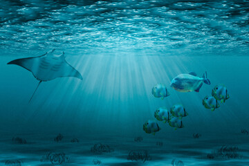 Sotto il mare
