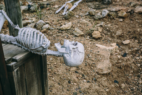 View of a half skeleton in an archeology area