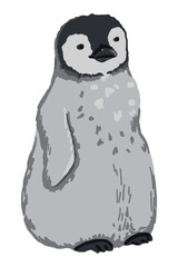Cute emperor penguin chick. Hand drawn vector animal illustration. Realistic colored drawing of wild bird. Cartoon picture isolated on white. Single element for design, print, card, decor, sticker etc