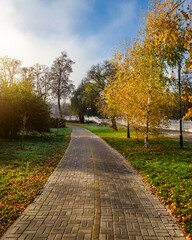 Fototapeta premium Cold autumn morning in the city park.