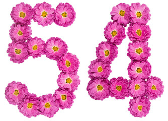 Arabic numeral 54, fifty four, from flowers of chrysanthemum, isolated on white background