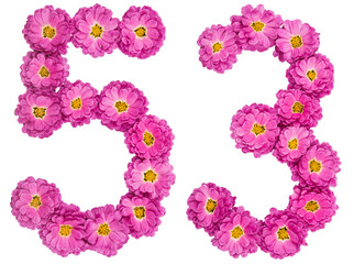 Arabic numeral 53, fifty three, from flowers of chrysanthemum, isolated on white background