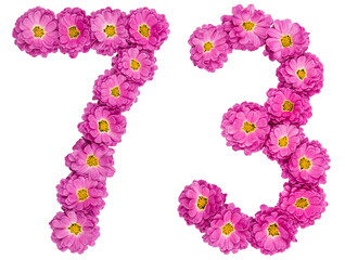 Arabic numeral 73, seventy three, from flowers of chrysanthemum, isolated on white background