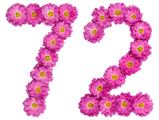 Arabic numeral 72, seventy two, from flowers of chrysanthemum, isolated on white background