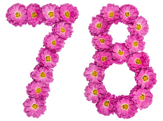 Arabic numeral 78, seventy eight, from flowers of chrysanthemum, isolated on white background