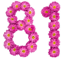 Arabic numeral 81, eighty one, from flowers of chrysanthemum, isolated on white background
