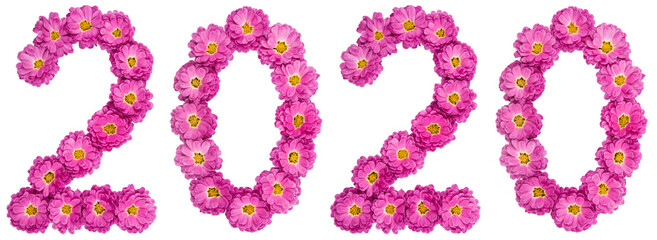 Numeral 2020 from flower of chrysanthemum, isolated on white background