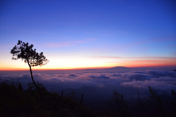 Silhouette tree during dawning sky with sea of clouds at Phu Chee Pher viewpoint  Mae Hong Son Northern  Thailand.