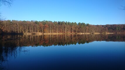 Spiegelndes Ufer am L&uuml;tauer See