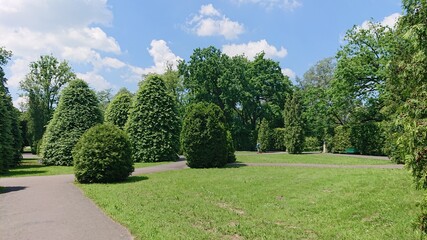 garden with trees