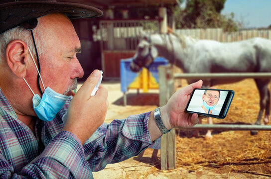 A telemedicine doctor talking to a sick farmer. He coughs violently. The old rancher uses a smartphone right in the stable.