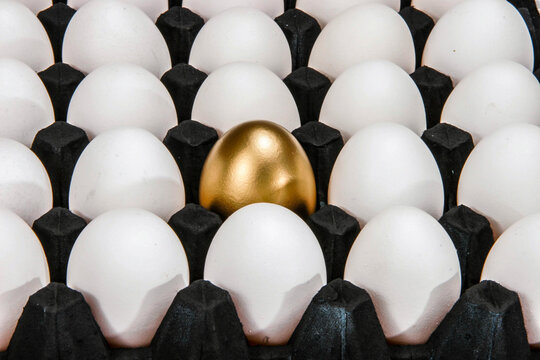 Golden egg in the middle of other eggs