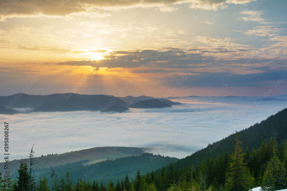 Wall mural beautiful sunrise in the carpathian mountains with fog and dramatic sky