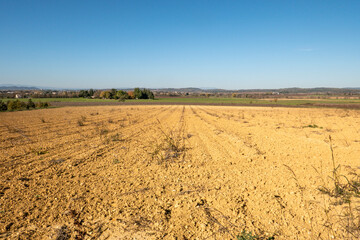 plowed field and agricultural landscape