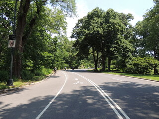 Fototapeta na wymiar Central Park em Nova York. Verão de 2012. 2012 Summer in Central Park NY USA