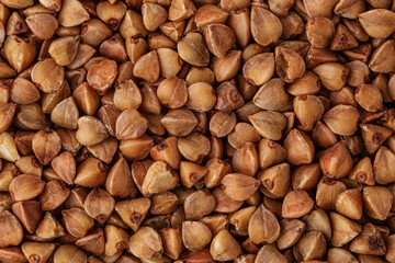  Close-up buckwheat background.Buckwheat. fresh buckwheat.