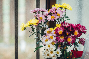 Close-up of flowers by the window in the kitchen