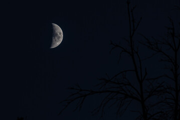 Obraz na płótnie Canvas First Quater Moon at late evening