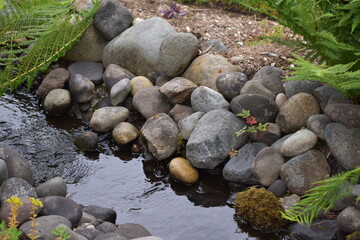 stones and water