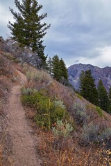 Provo Peak hiking trail mountain landscape scenic view, towards Slide Canyon, Slate Canyon Rock...