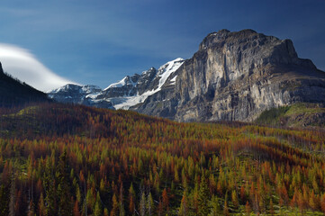Stanley Peak with red infested lodgepole pine