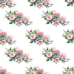 Rosehip watercolor hand-drawn illustration. Fruits, berries, flowers and leaves of the plant. Print, textile, sketch. Vintage, retro, realism style. Flowering, flora, vegetation, seamless pattern