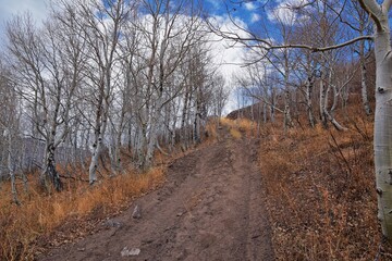 Provo Peak hiking trail mountain landscape scenic view, towards Slide Canyon, Slate Canyon Rock Canyon and Squaw Peak Road, Wasatch Rocky mountain Range, Utah, United States. 