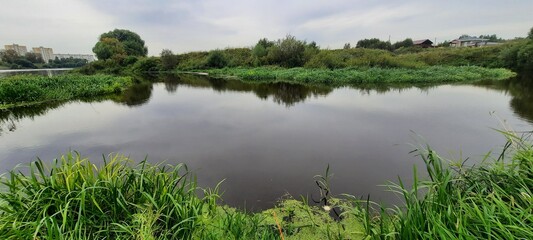 reflection of trees in the water
