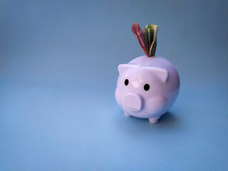 Piggy bank saving money, concept finance