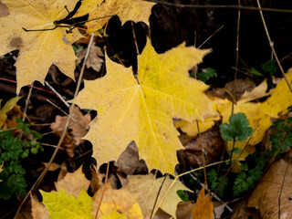 on the golf course on a very cold morning 