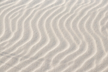 Nature background. Sandy beach for the background. Shadows and patterns on the sand of dune.