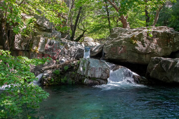 Naklejka na ściany i meble Stream in Ida Mountain, Beautiful nature. Turkey.