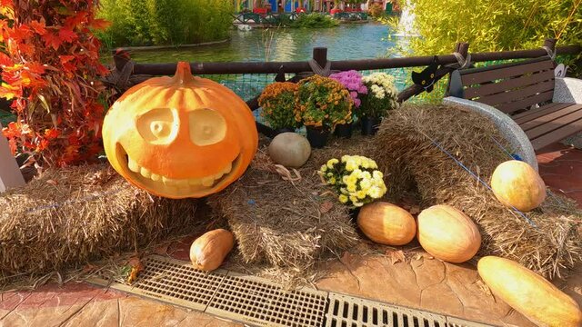 pumpkin, flowers, haystack-decor for celebrating Halloween in the Park