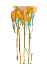 watercolor paints and brush isolated on white