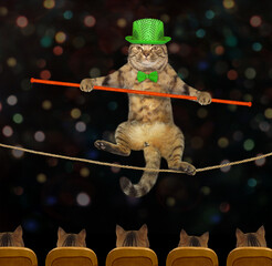 A cat acrobat in a green hat and a bow tie with a pole is walking on a tightrope in a circus.