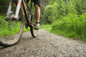 Fototapeta na wymiar Cyclist On Countryside Track
