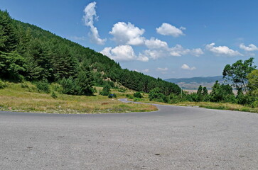 Green forest, road and flower meadows in Rila mountain, Bulgaria 