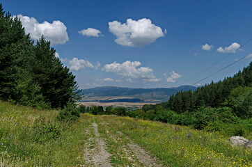 Obraz premium Green forest, road and flower meadows in Rila mountain, Bulgaria 