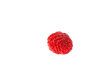 Raspberry berries on a white background