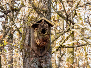 bird house of natural material in the forest