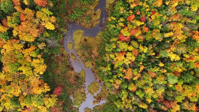 Beautiful look down travel aerial following the Carp River over the pedestrian bridge towards Lake of the Clouds with colorful fall foliage and fog blanketing the scene below.