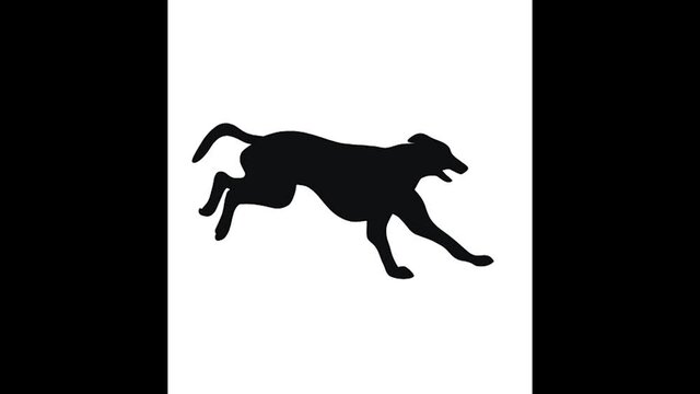 Running dog on the wite screen