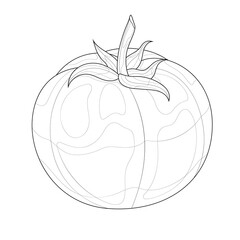 Tomato.Coloring book antistress for children and adults.Zen-tangle style.Black and white drawing